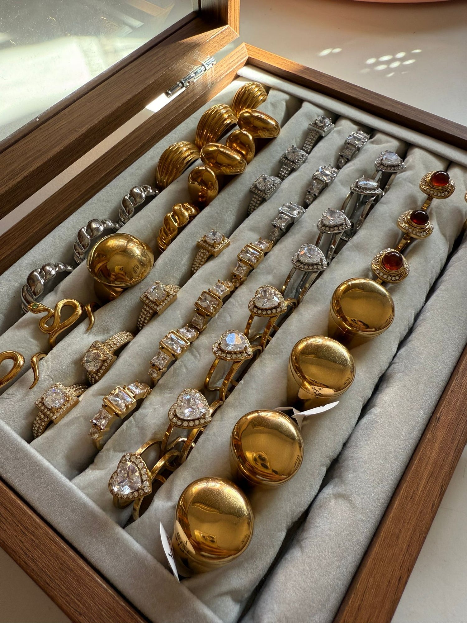 Anillos