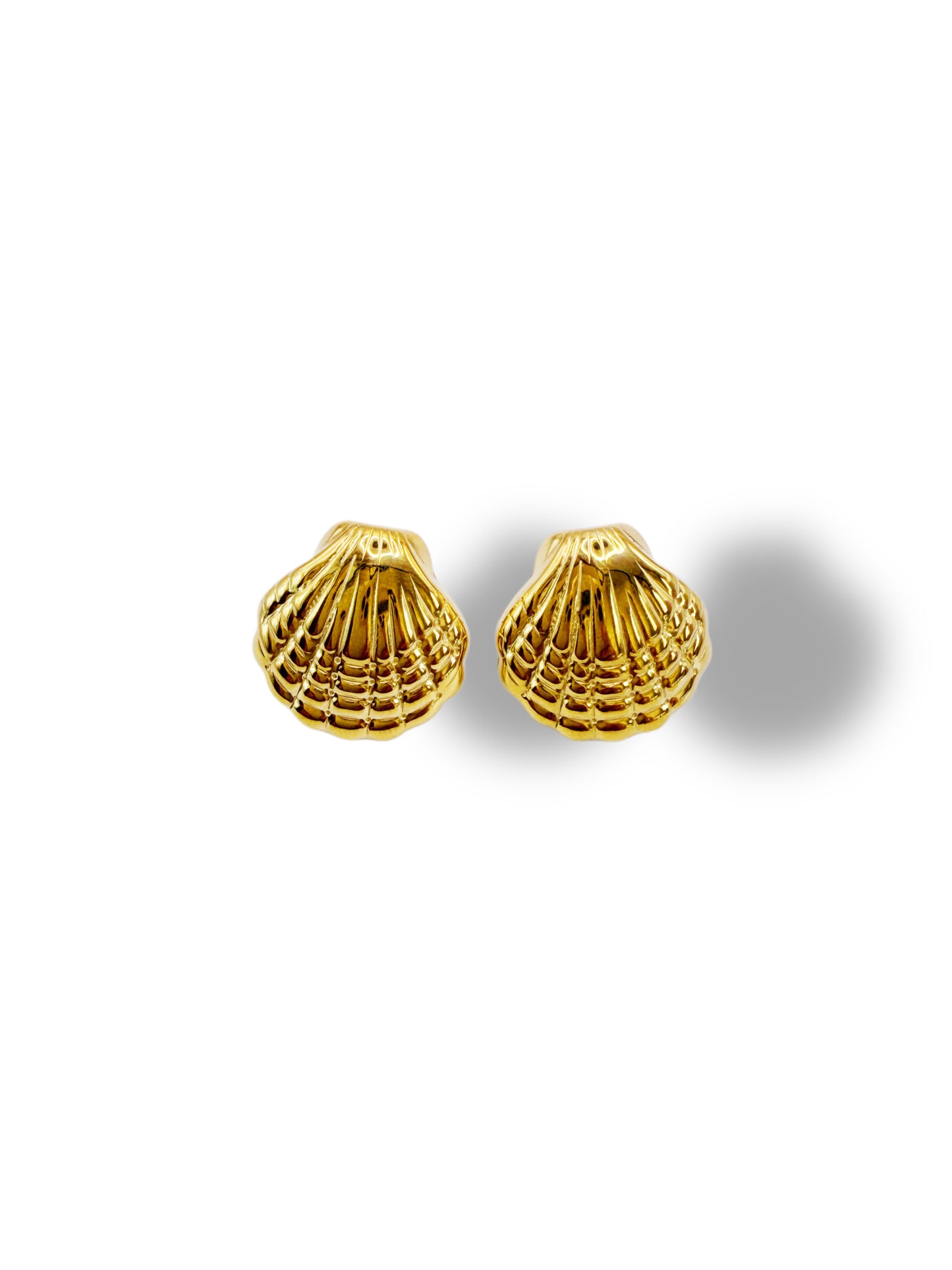 Pendientes concha