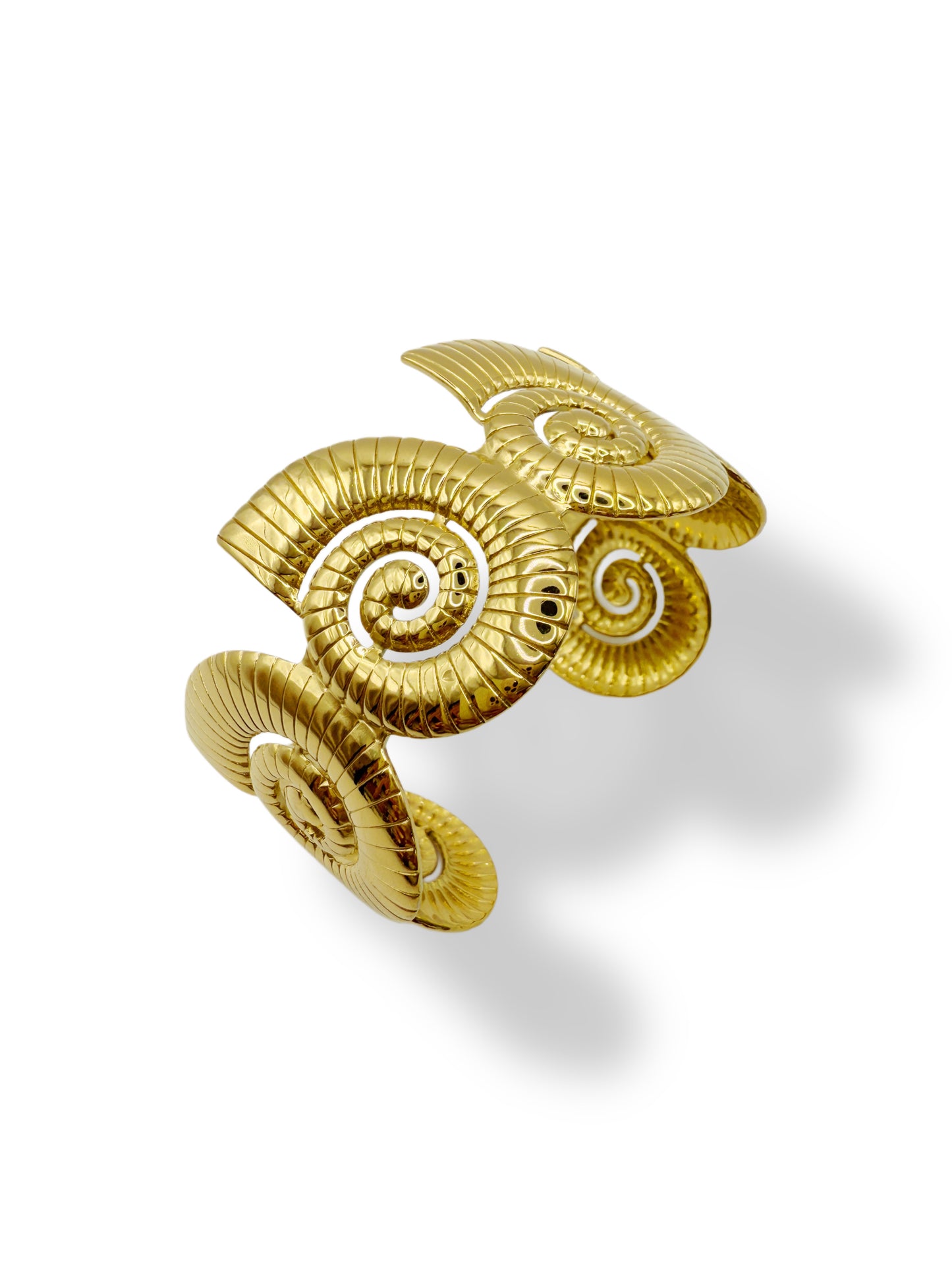 brazalete Concha