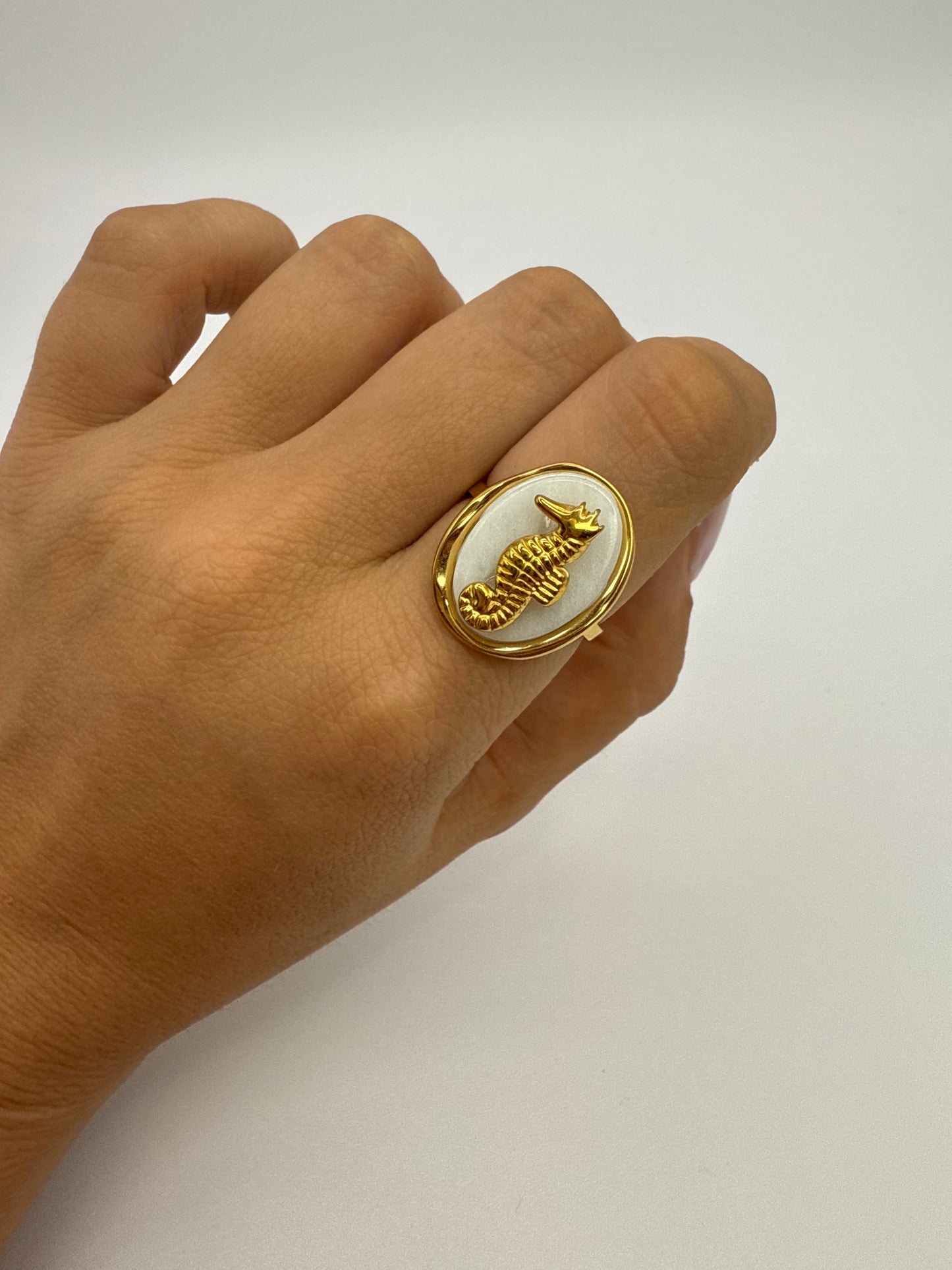 Anillo caballito