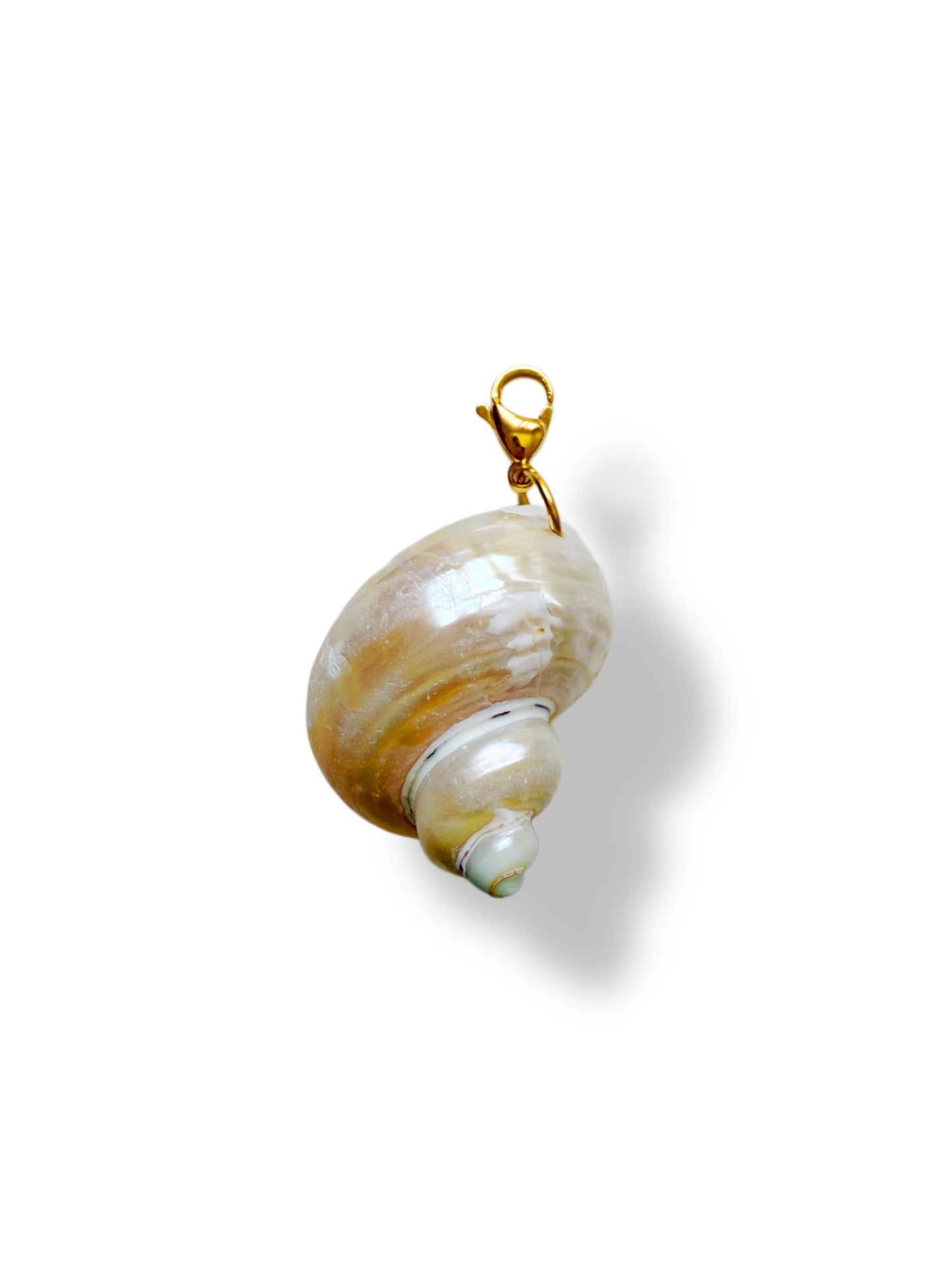 Charm Caracola de Nácar
