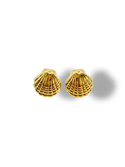 Pendientes concha