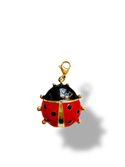 Charm Mariquita 🐞