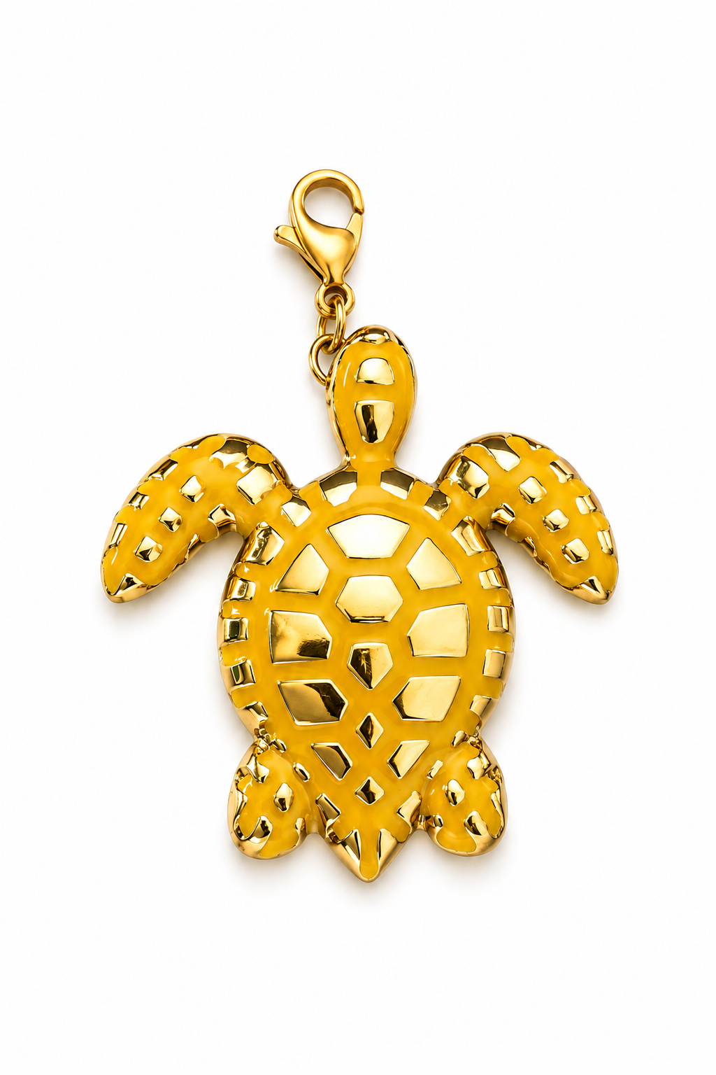 Charm tortuga