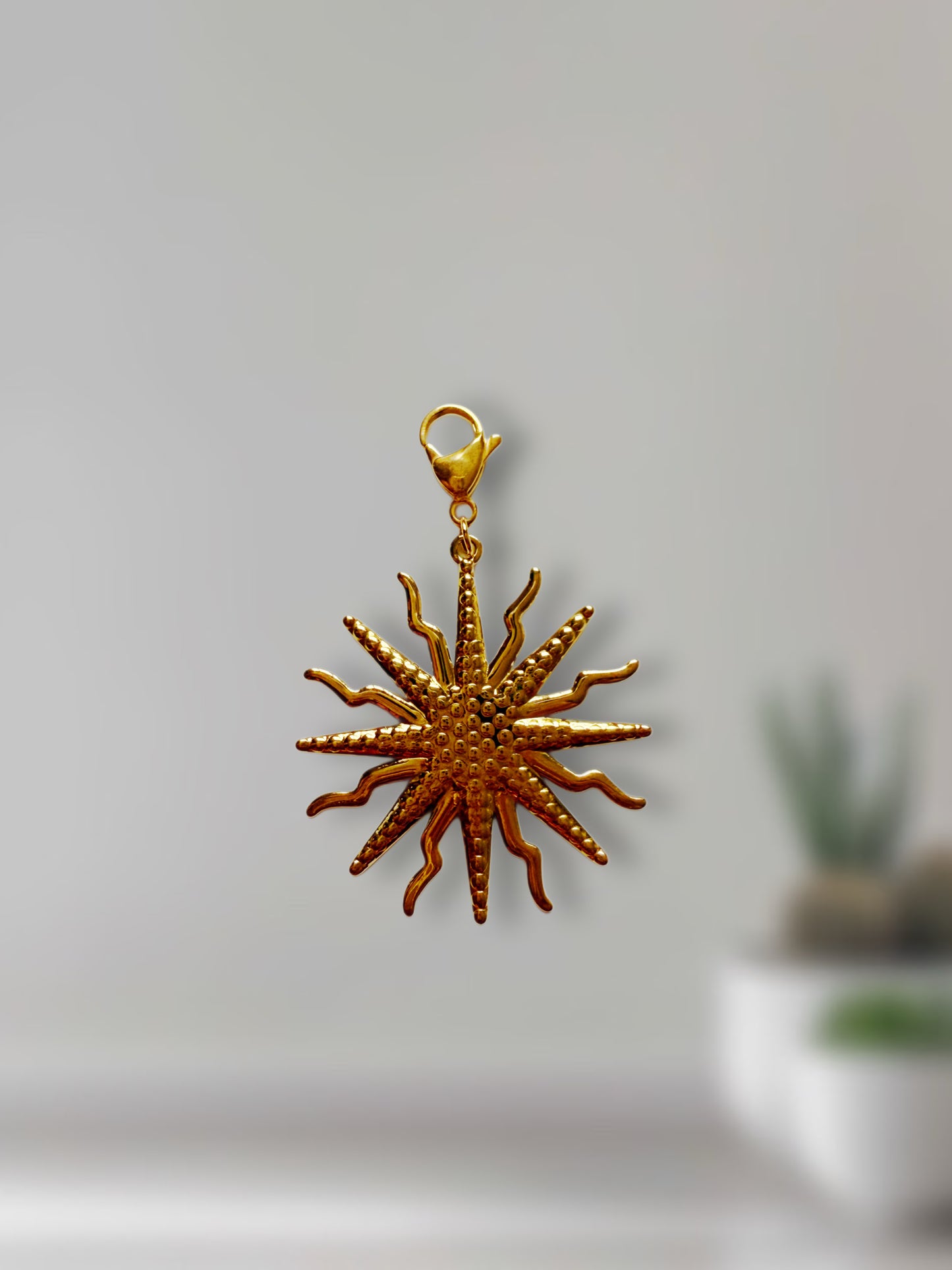 Charm Sirius