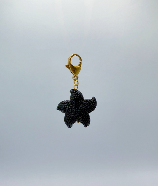 Charm estrella de mar negra