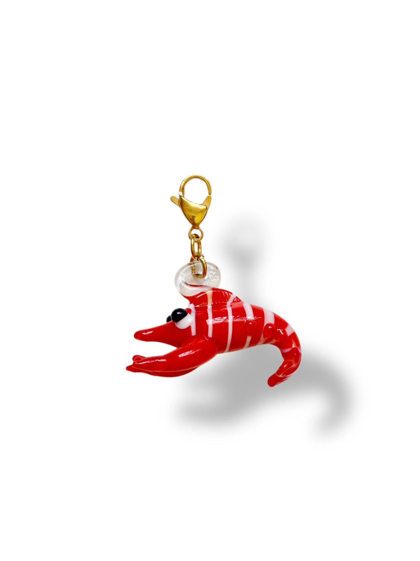 Charm Gambito🦐