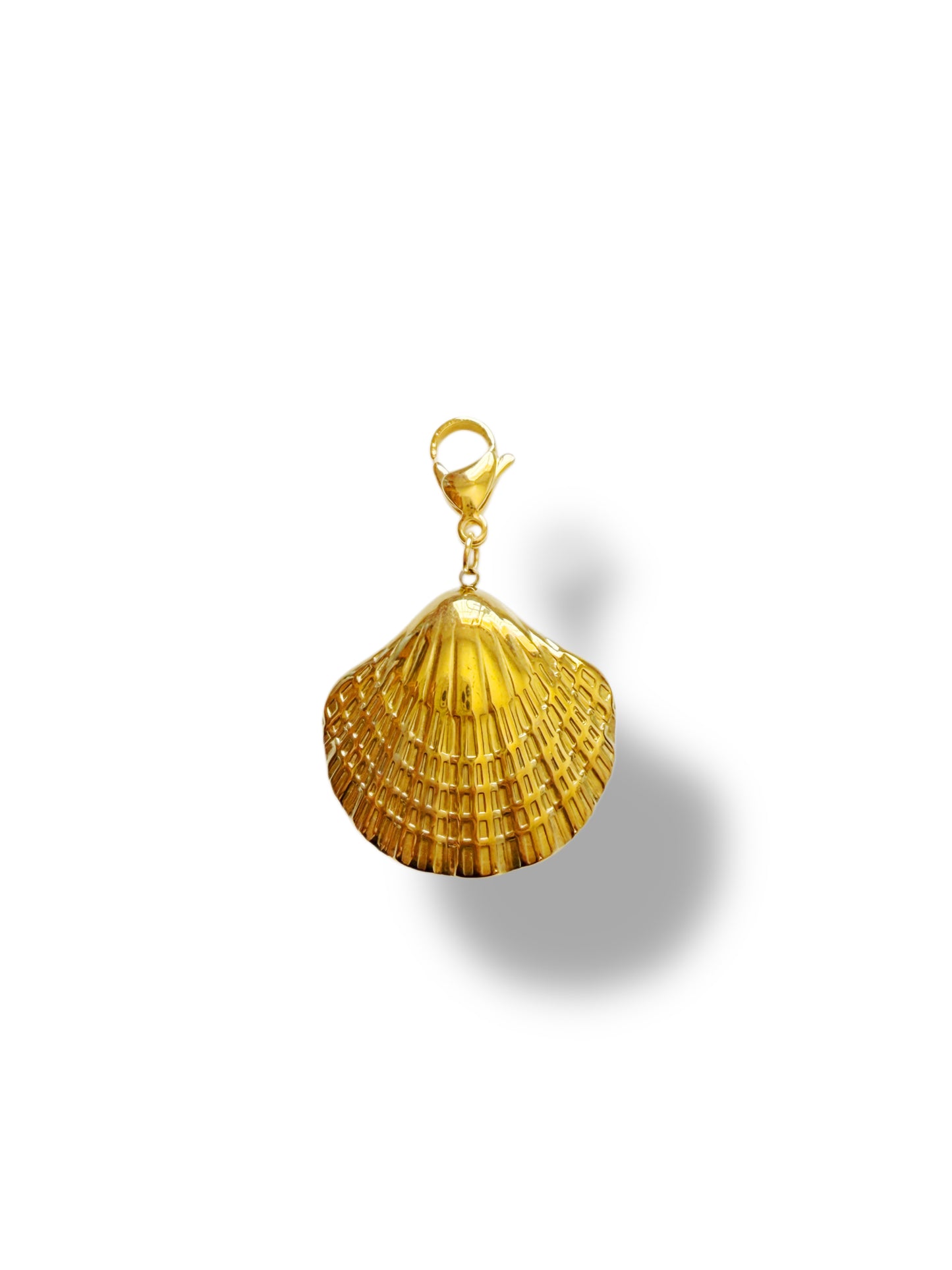 Charm Concha acero