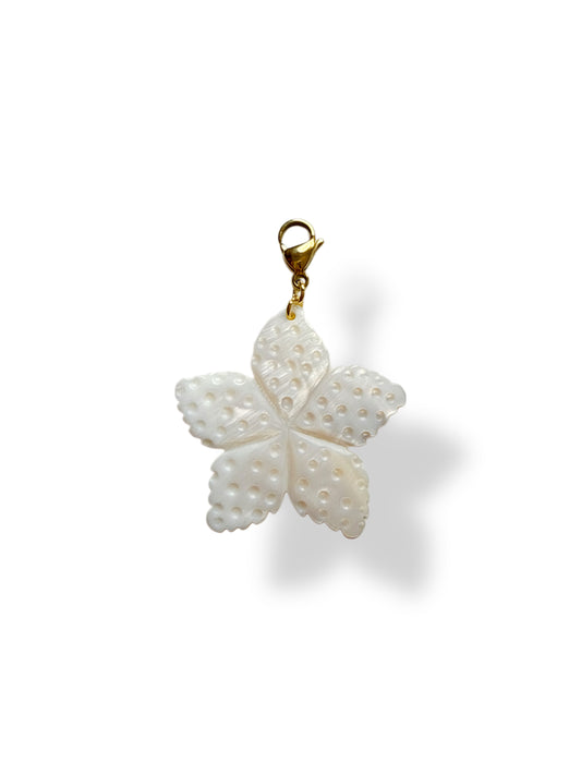 Charm estrella nácar L