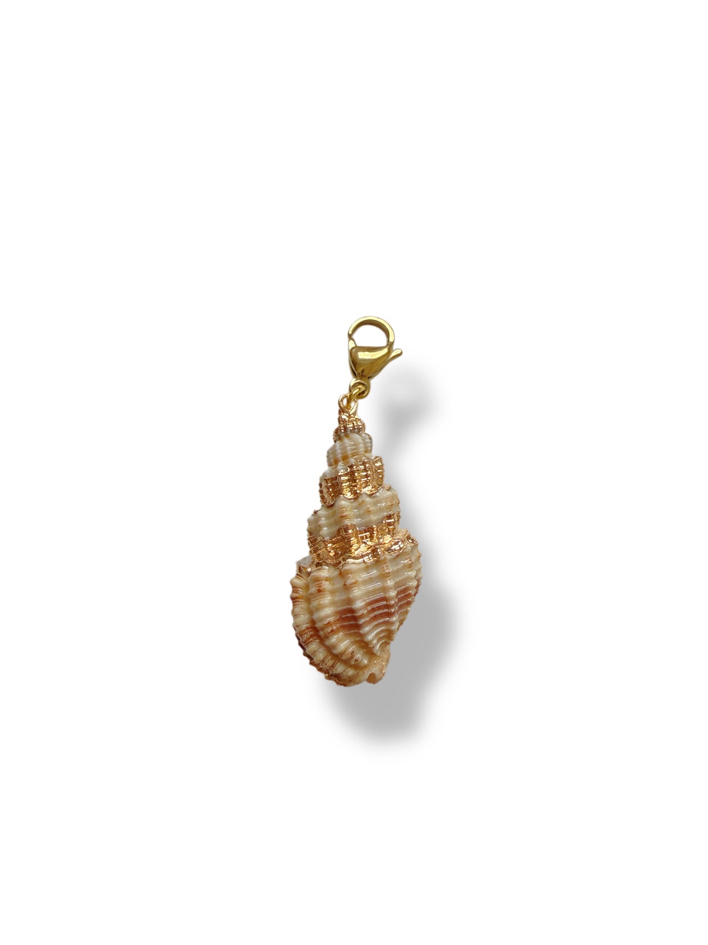 Charm caracola marrón